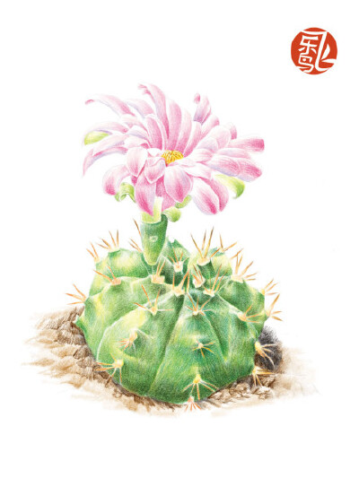  #飞乐鸟作品#《植物绘Ⅱ》——相信热爱生活的人，都多多少少会在家里种上几盆植物，插上那么几支绿叶或几朵鲜花来点缀生活。画纸，彩铅，小植物，还有热爱生活的心，让我们一起来为自己打造一份宁静的时光和从容的…