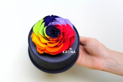 【彩虹】周杰伦唱过彩虹。叶蓓唱过彩虹。 五月天唱过彩虹。梁静茹唱过彩虹。 是因为人生也这样神奇吗？ 红橙黄绿青蓝紫， 混在一起都是纯白， 抽离开来却有各自的质地。 所有的彩虹都长不过一瞬，但KATINA的可以。 …