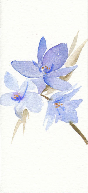 花。