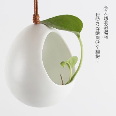 你们造嘛~它叫蛋壳，蛋壳的蛋，蛋壳的壳~-_-|||