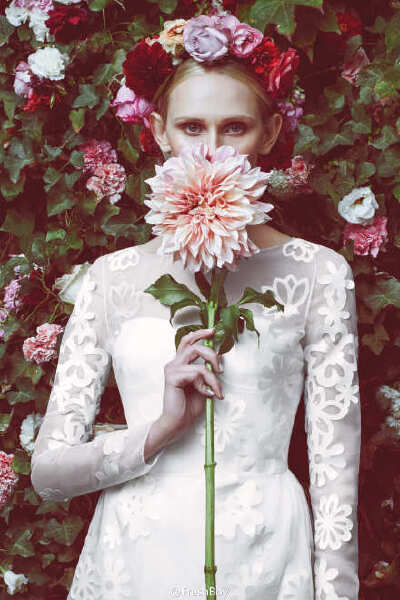 #Morning Beauty# Honor x Stone Fox Bride的花与嫁纱，都是超大尺寸的全高清图，随意裁剪就可做美美的手机电脑壁纸，不谢