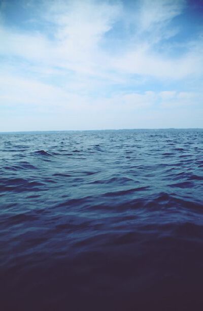 大海