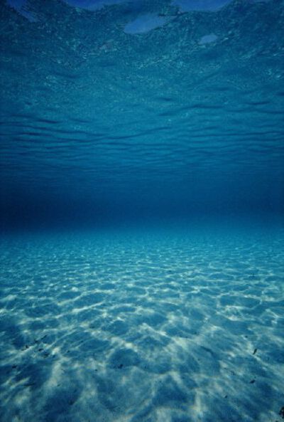 大海