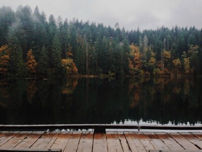 Fall in Pacific Northwest