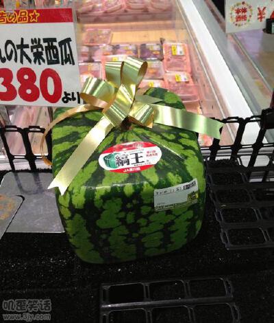 【搞笑图片】（喜欢的话，就收集）四方型西瓜～