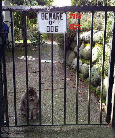 【搞笑图片】（喜欢的话，就收集）“猛犬”真的好吓人啊！