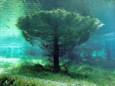 奥地利水珍珠 · 绿湖水下公园