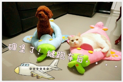 酷炫狂拽！！！日本KOJIMA宠物窝狗窝犬猫窝 卡通飞机汽车窝 中小型犬贵宾泰迪