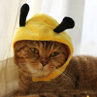 VIP宠物店/日本KOJIMA/宠物变身帽子の小兔变身帽/猫狗帽宠物帽子