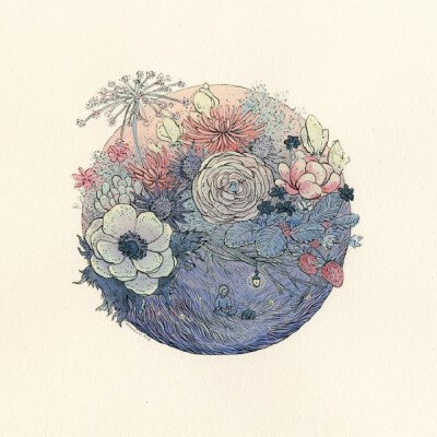 一花一世界。 作者：Nicole Gustafsson