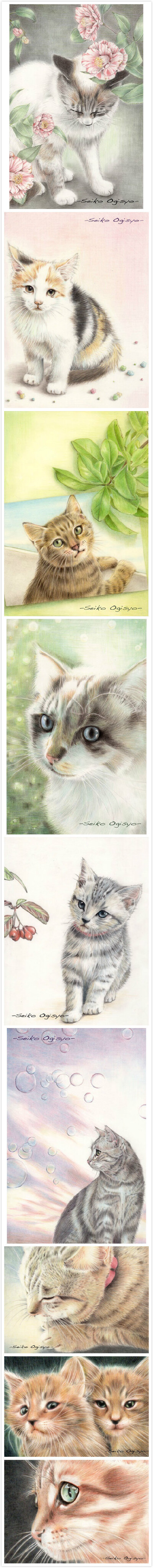 彩铅笔画猫