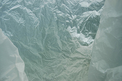 Vilde Rolfsen摄影作品：塑料袋风景