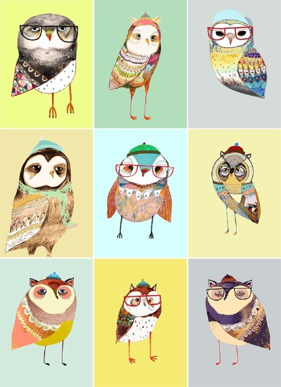 hipster owls / Ashley Percival