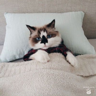 麻麻，我真的洗脸了。