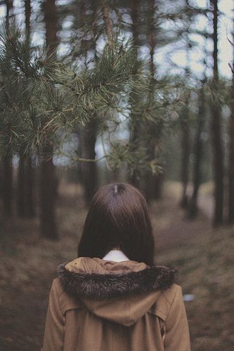 in the woods