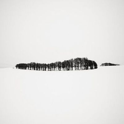 早安，平静的世界 | Josef Hoflehner