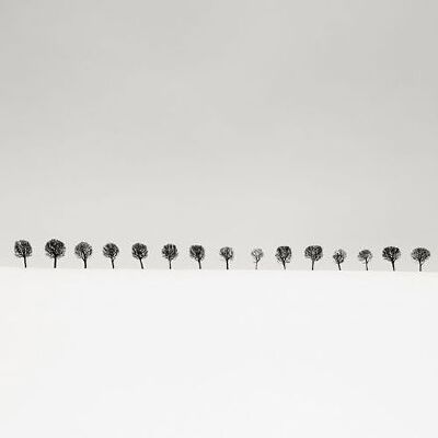 早安，平静的世界 | Josef Hoflehner
