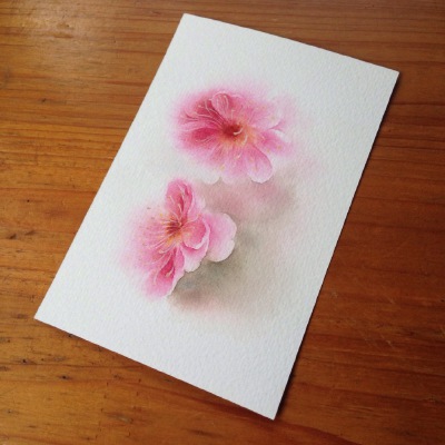 水彩 桃花