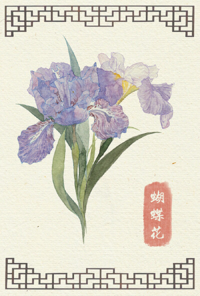 蝴蝶花