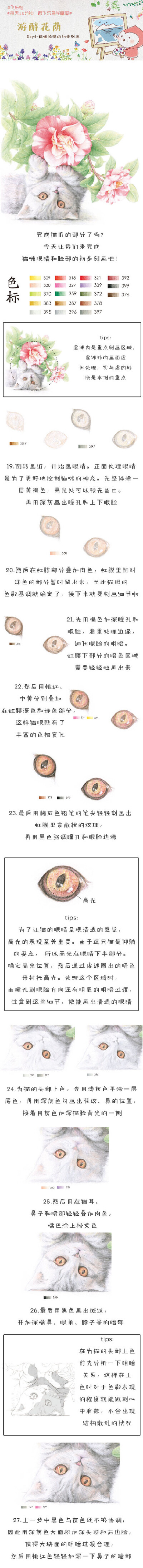 【绘画教程】游醉花荫 4（猫咪脸部的初步刻画）