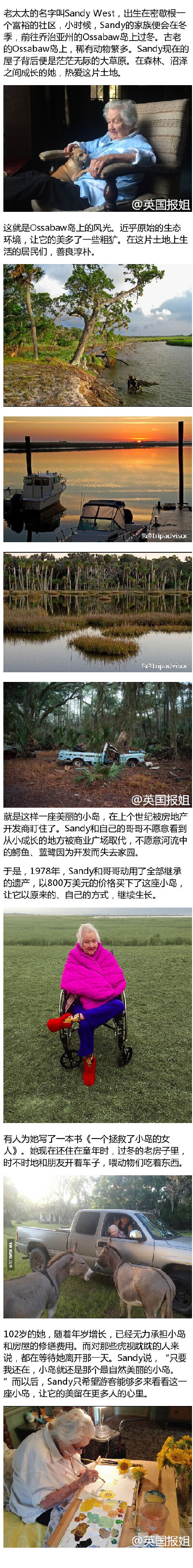 因为童年成长的小岛将被商业开发，美国的一位老太太为了留住它的美丽，于是用自己继承的全部遗产，把小岛买了下来，让它以最自然的方式，自由生长