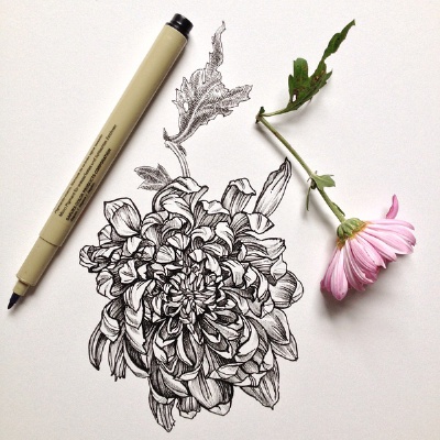 花绘 Noel Badges Pugh