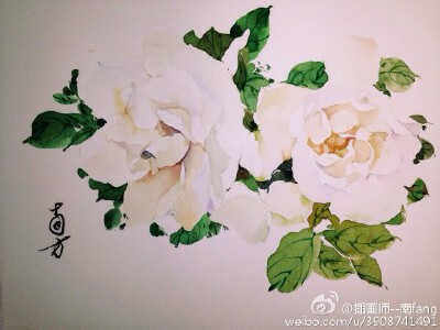 栀子花。