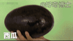 亲爱哒！你负责切切切，我负责吃吃吃！可以吗？