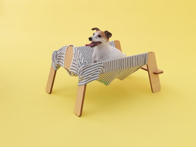 建筑师 torafu 的设计和杰克罗素梗犬 旧衣服+架子=狗窝
