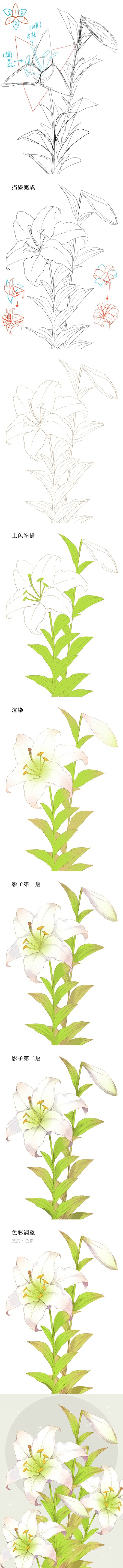绘师moiy的花卉教程
