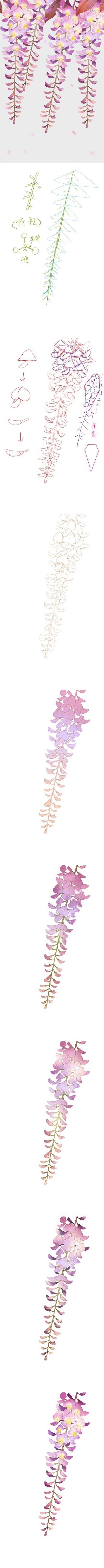 绘师moiy的花卉教程
