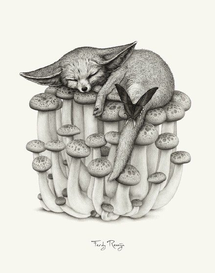 动物插画*Ferdy Remijin