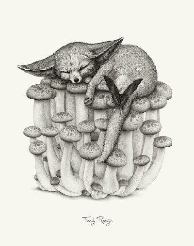 动物插画*Ferdy Remijin