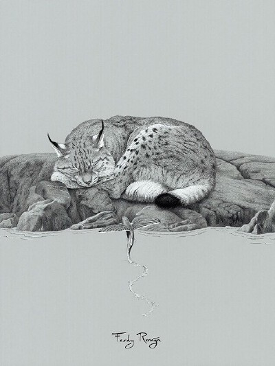动物插画*Ferdy Remijin