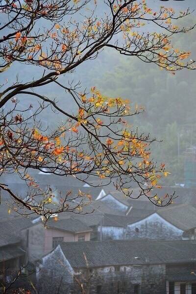 空景