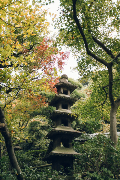 日本庭院 风景 B162