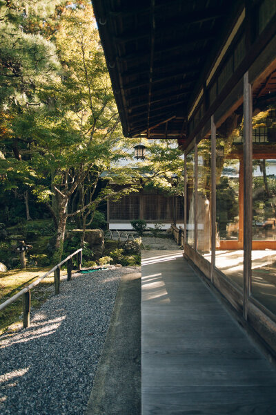 B162 日本 庭院 风景 