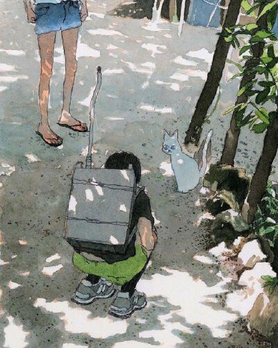 记忆中的夏天 
