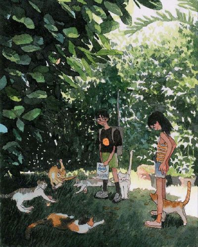 记忆中的夏天 