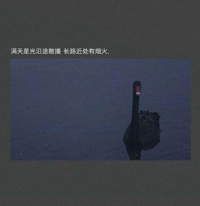 文字图 星空