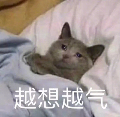 新鲜出炉的表情包来了✓
