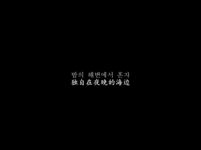 独自在夜晚的海边