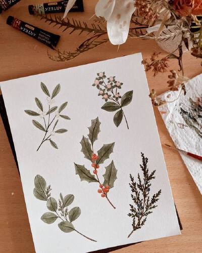 绿植 静物 清新水彩画 By_Joannie Houle