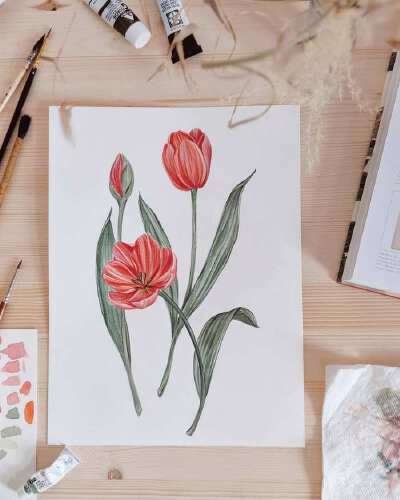 绿植 花卉 清新水彩画 By_Joannie Houle