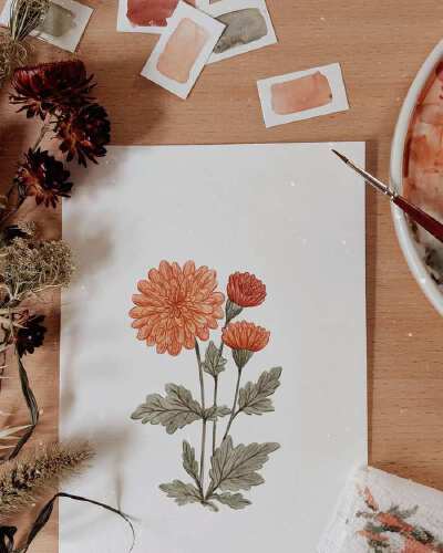 绿植 花卉 清新水彩画 By_Joannie Houle