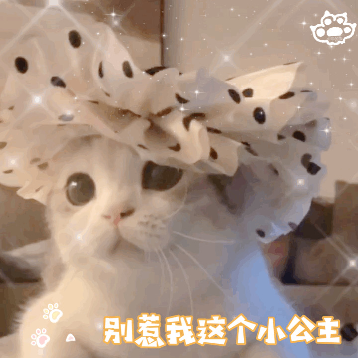 他说的承诺还未兑现