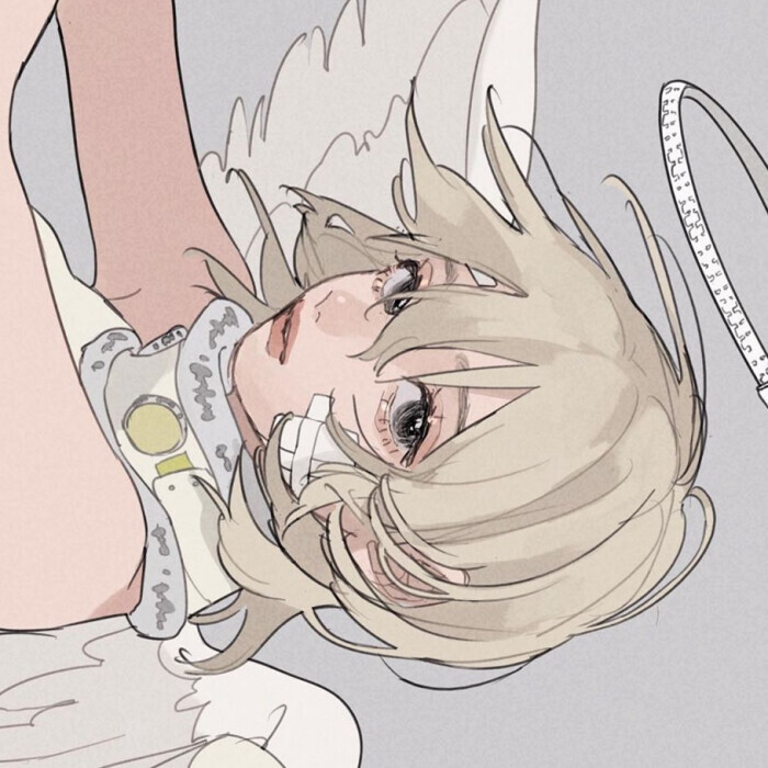 请输入描述信息