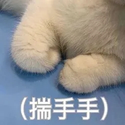 可可爱爱