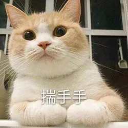 可可爱爱