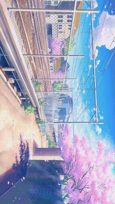 背景